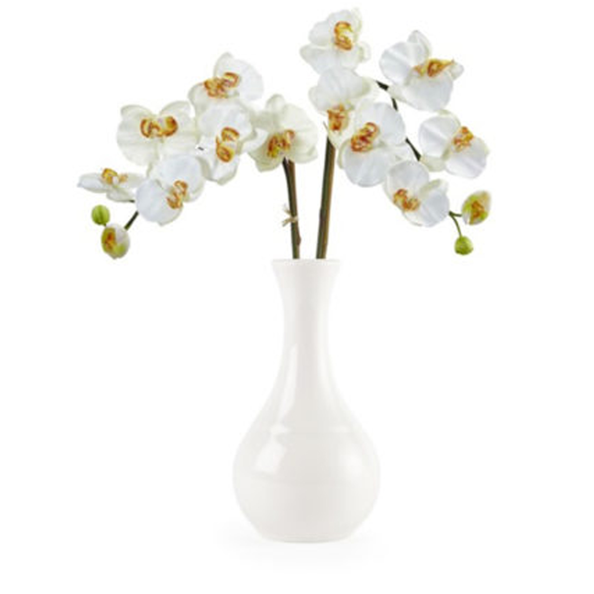 WHITE BUD VASE By Churchill Core Catering