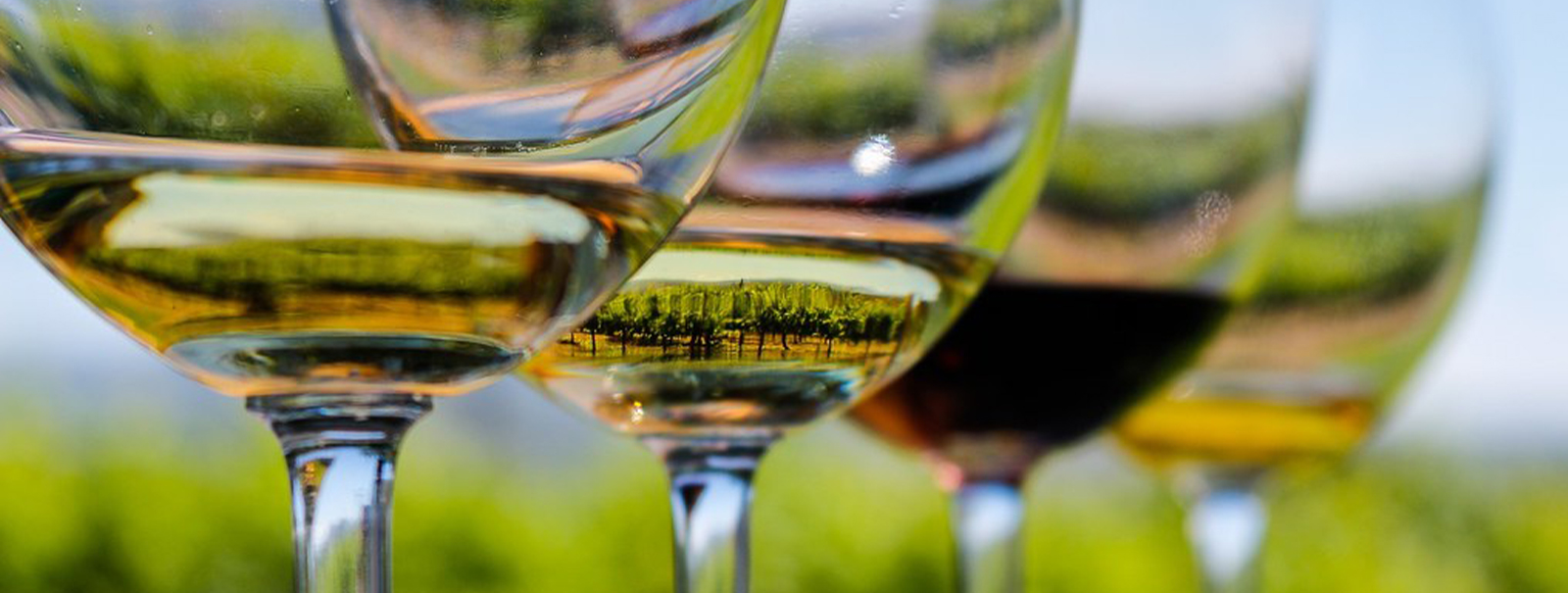 Wine Glasses