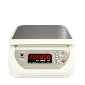 The electronic portion scale by Teraoaka.