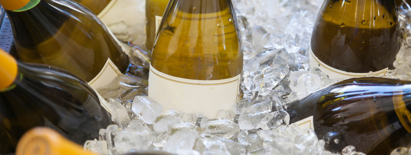 Ice Buckets And Stands