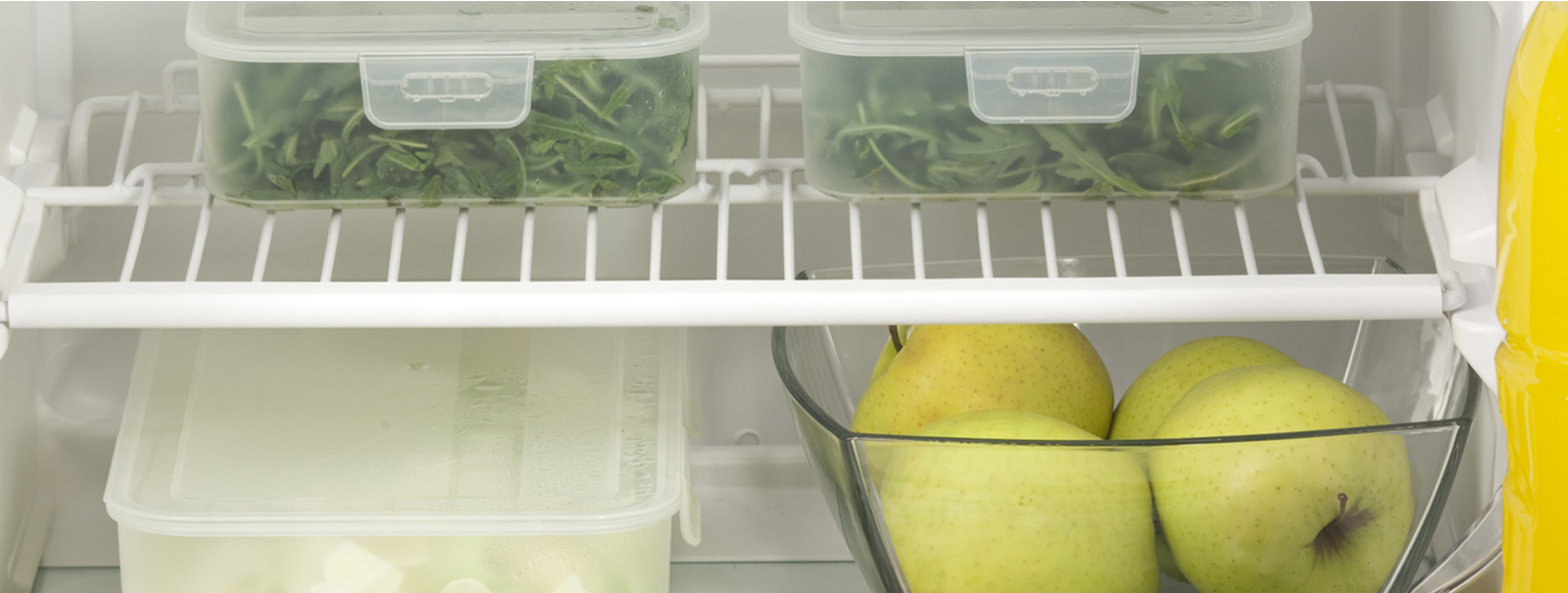 Kitchen Fridges and Freezers