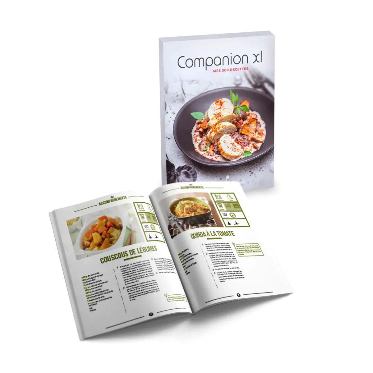Livre Recette Moulinex Soup Co Pdf COMPANION XL MULTIFUNCTION FOOD PROCESSOR By Moulinex - Core Catering