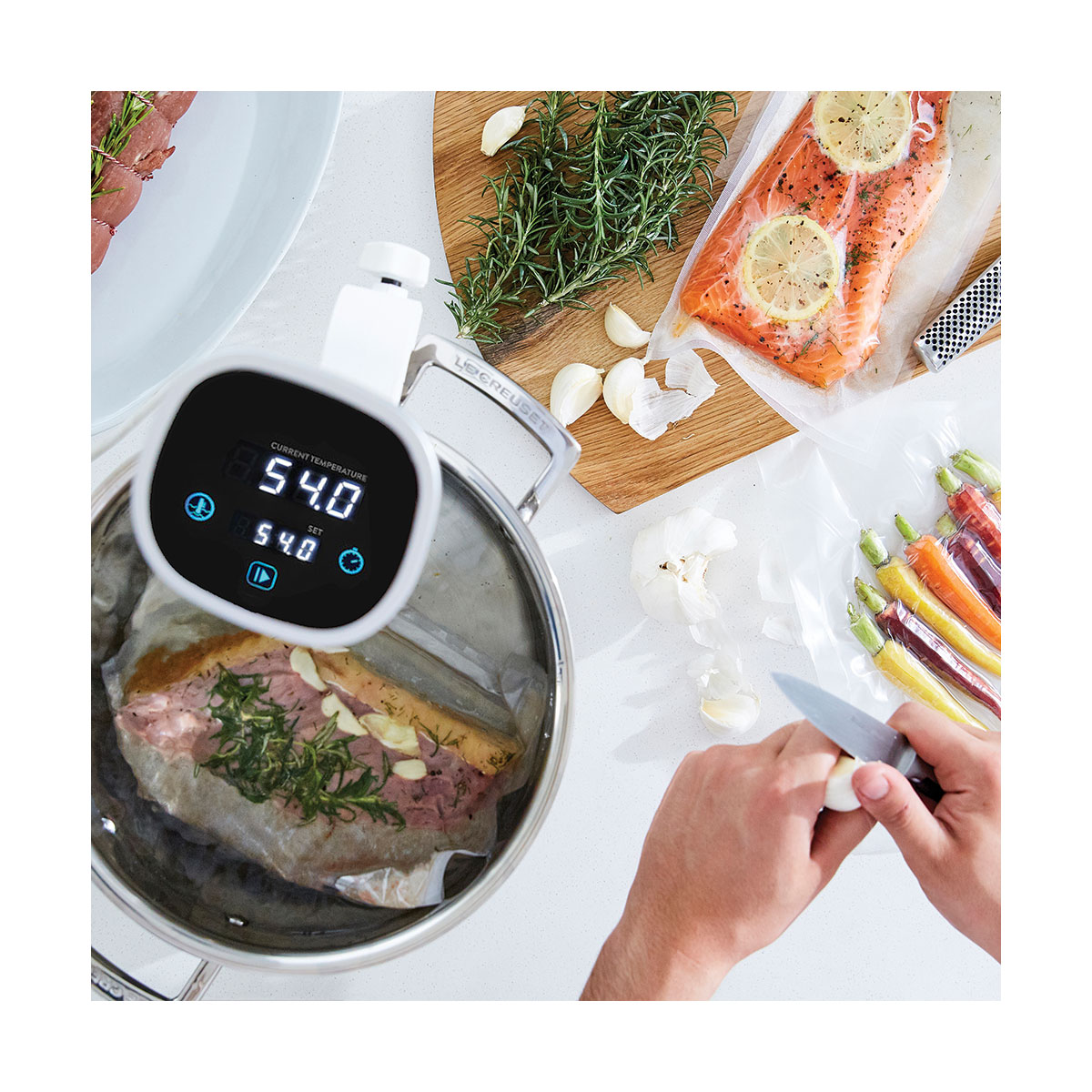 SOUS VIDE CIRCULATOR STICK By Omniblend Core Catering